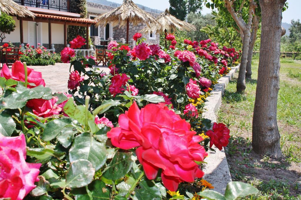 Villa Vicky بترا المظهر الخارجي الصورة